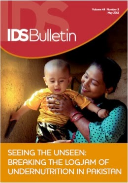 Picture of IDS Bulletin cover
